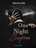 One Night Surprise Novel